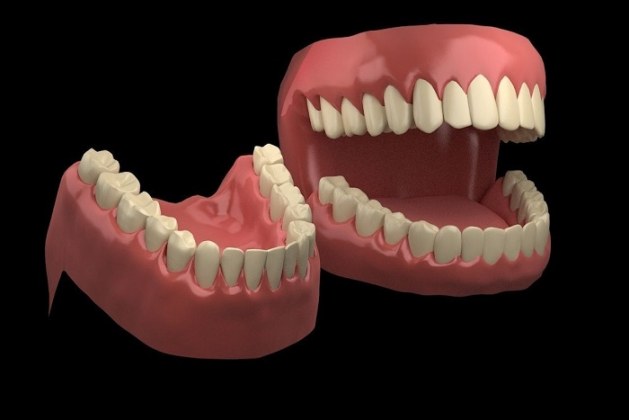 آشنایی با انواع دندان